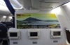 Bulkhead Seat Advertising on Airplane